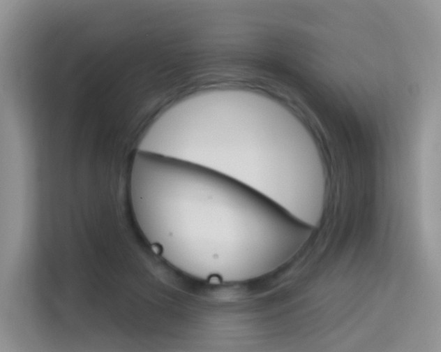 X0000114210505200910091031