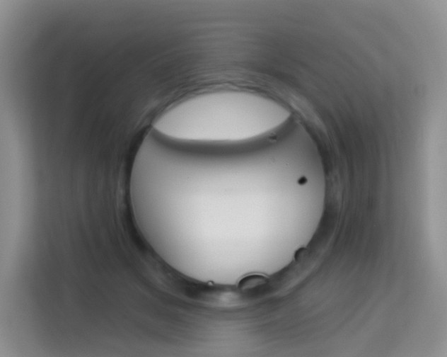 X0000114210509200910091031