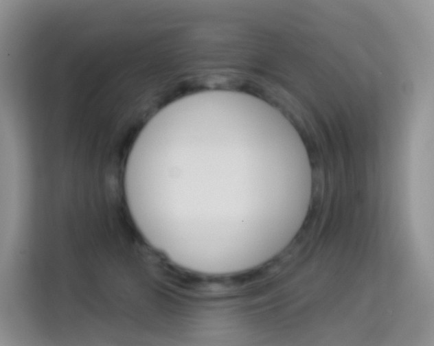X0000114210510200910091031