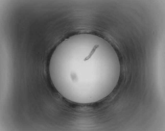 X0000114210512200910091031