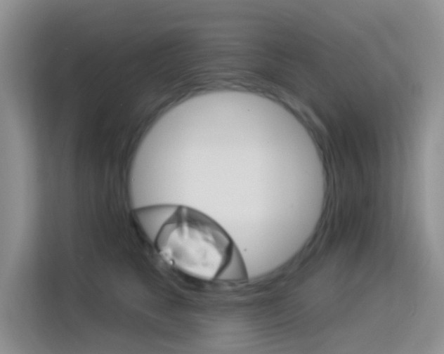 X0000114210517200910091031