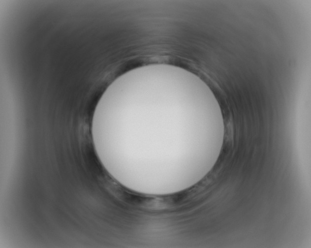 X0000114210522200910091031