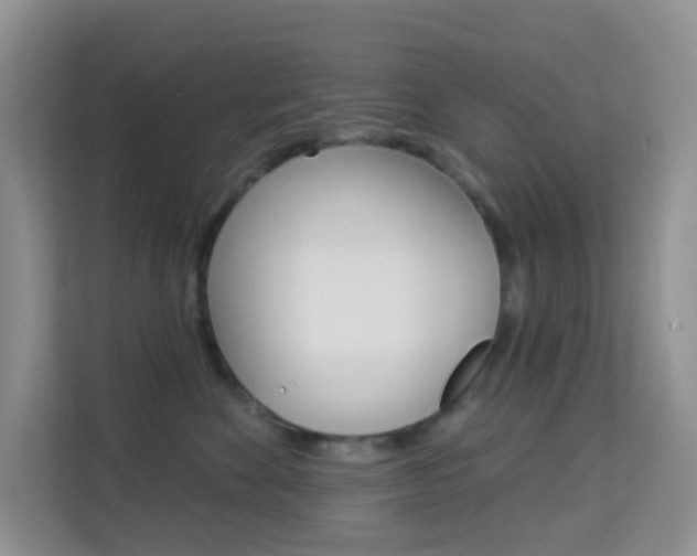 X0000114210524200910091031