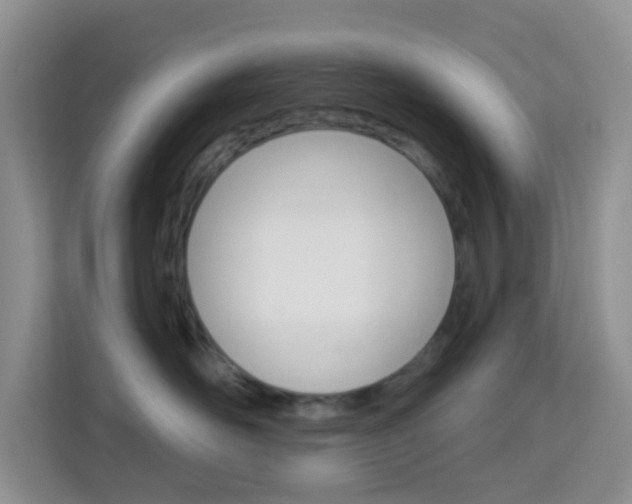 X0000114210526200910091031