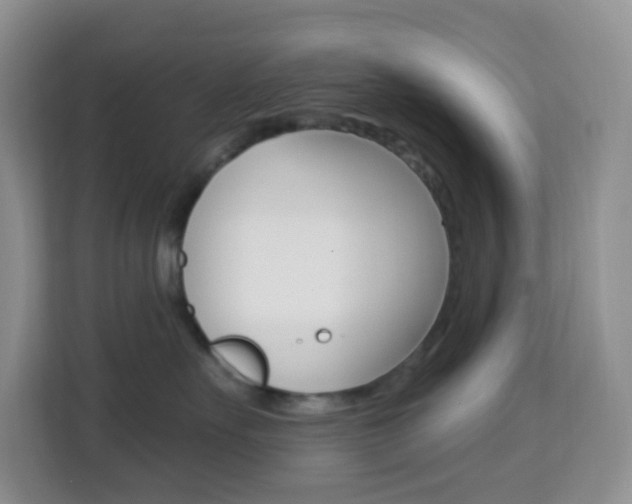 X0000114210527200910091031