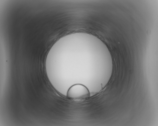 X0000114210528200910091031