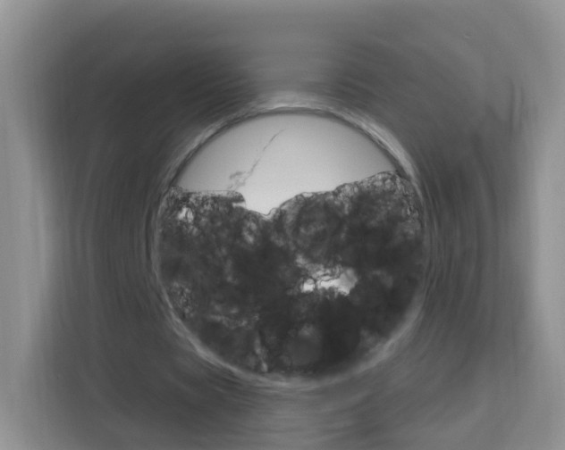 X0000114210529200910091030