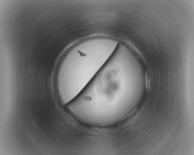 X0000114210531200910091030
