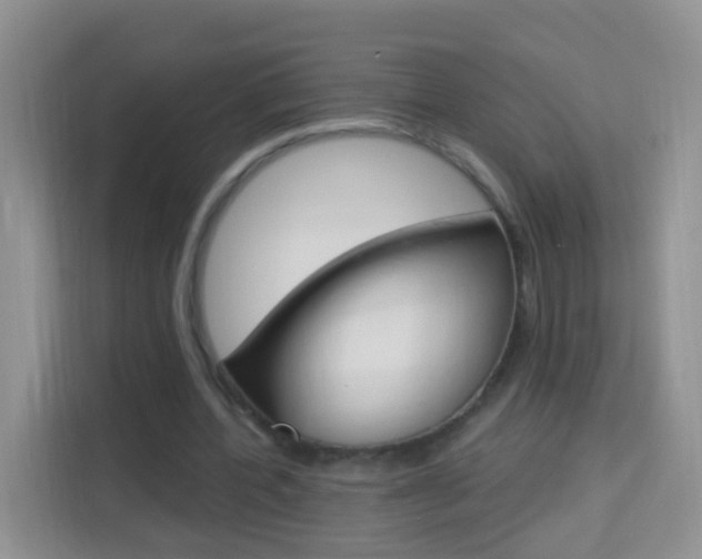 X0000114210532200910091030