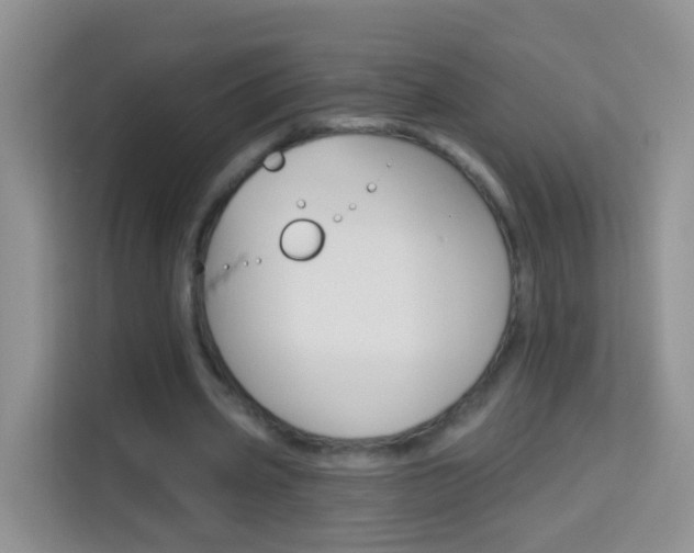 X0000114210533200910091030