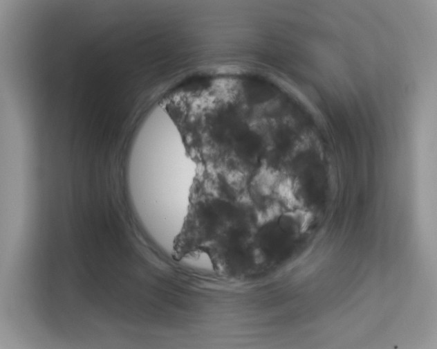 X0000114210537200910091031