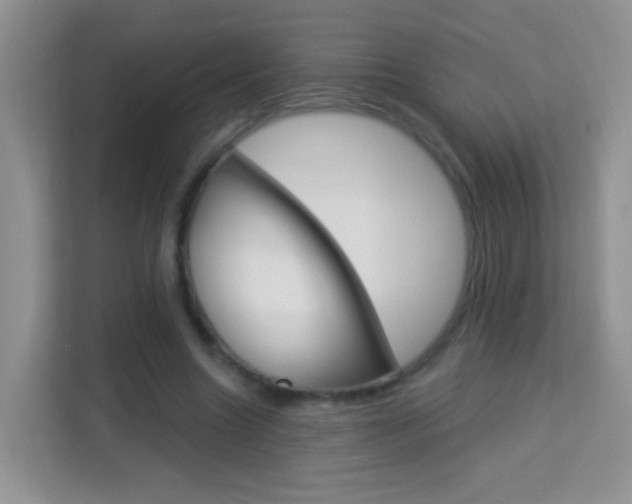 X0000114210538200910091031