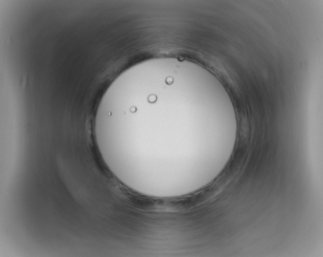 X0000114210545200910091031