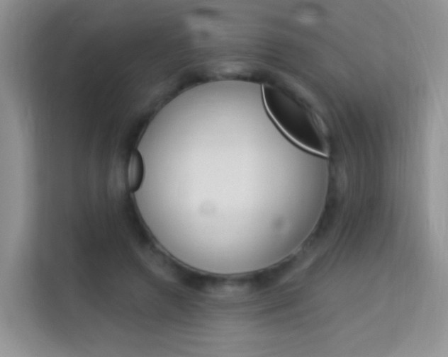 X0000114210546200910091031