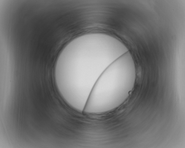 X0000114210547200910091031