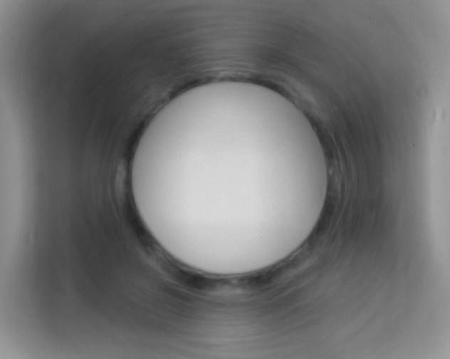 X0000114210550200910091031