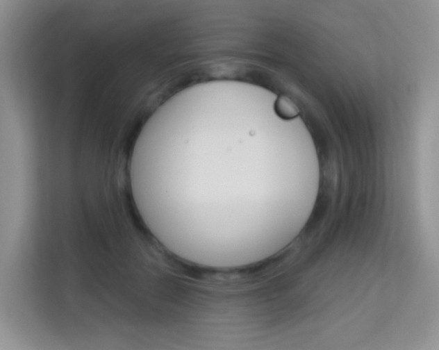 X0000114210554200910091031