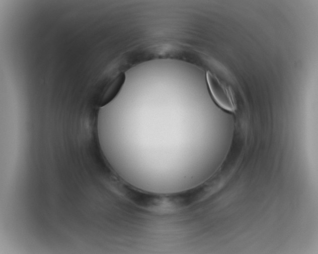X0000114210558200910091031