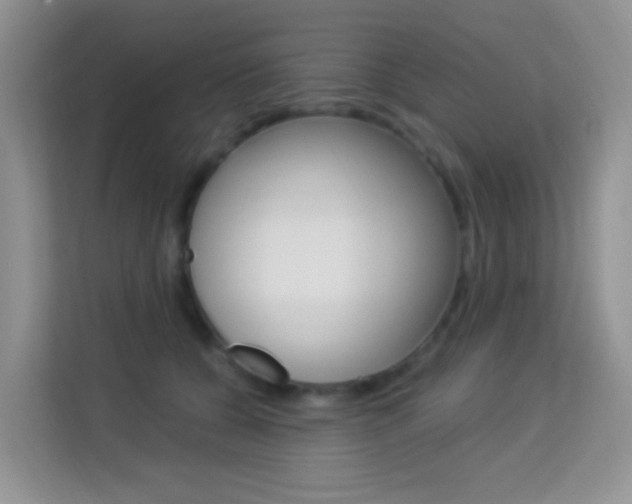 X0000114210560200910091031