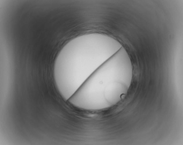 X0000114210563200910091031