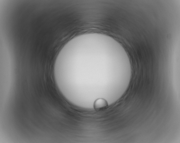 X0000114210566200910091031