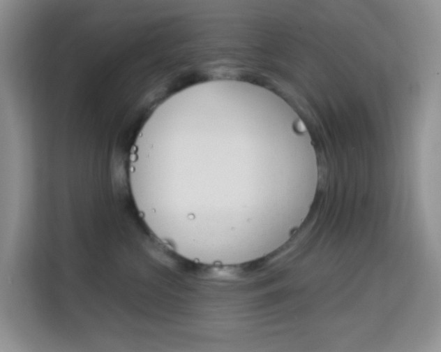 X0000114210573200910091031