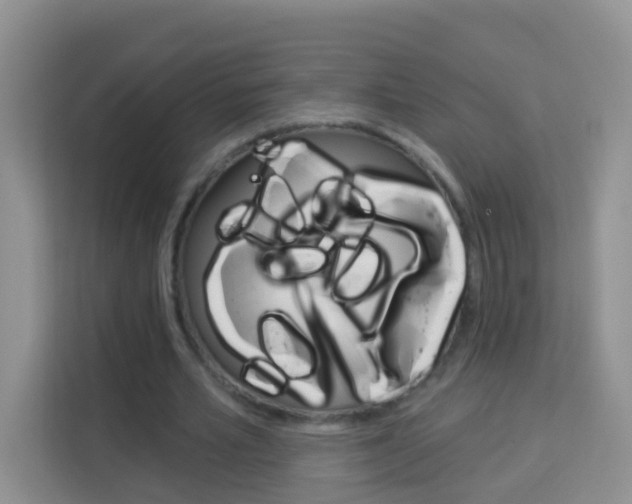 X0000114210581200910091030