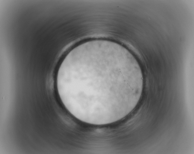 X0000114210584200910091030