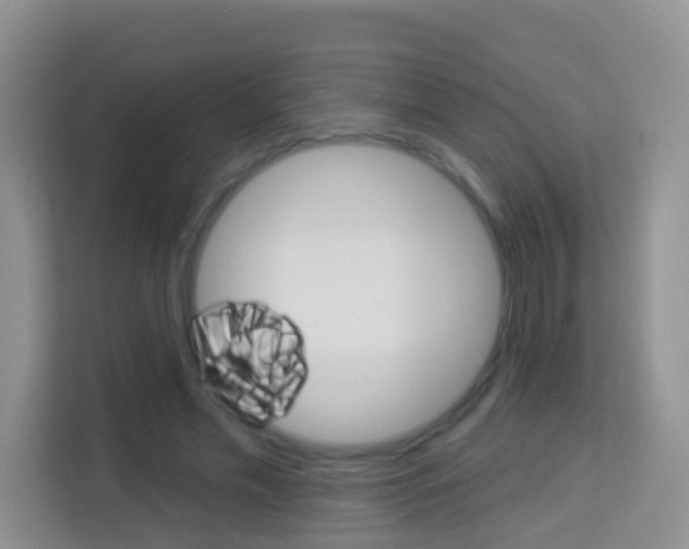 X0000114210589200910091030