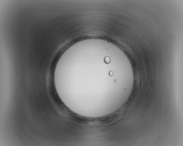 X0000114210591200910091030