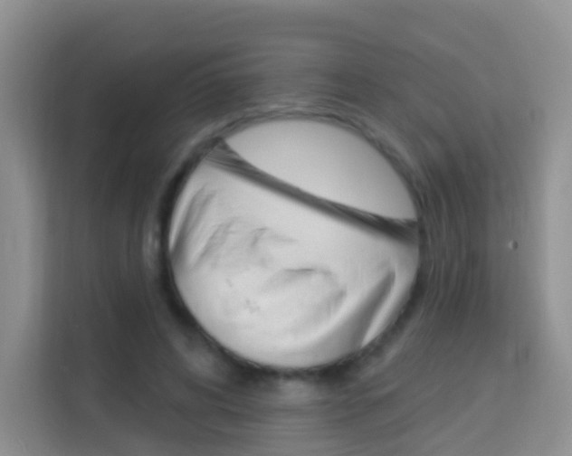 X0000114210592200910091030