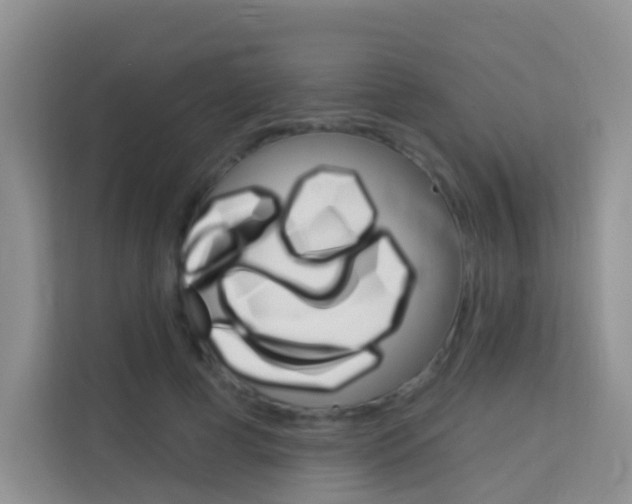 X0000114210593200910091030