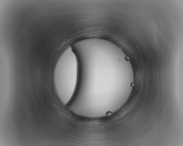 X0000114210600200910091030