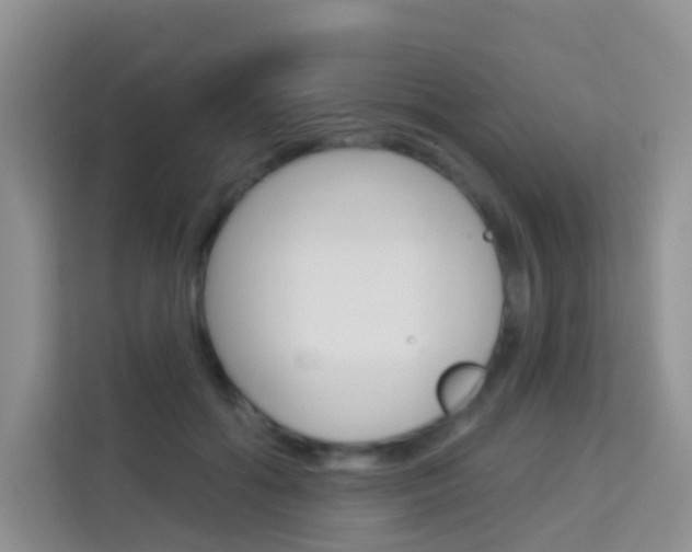X0000114210602200910091030