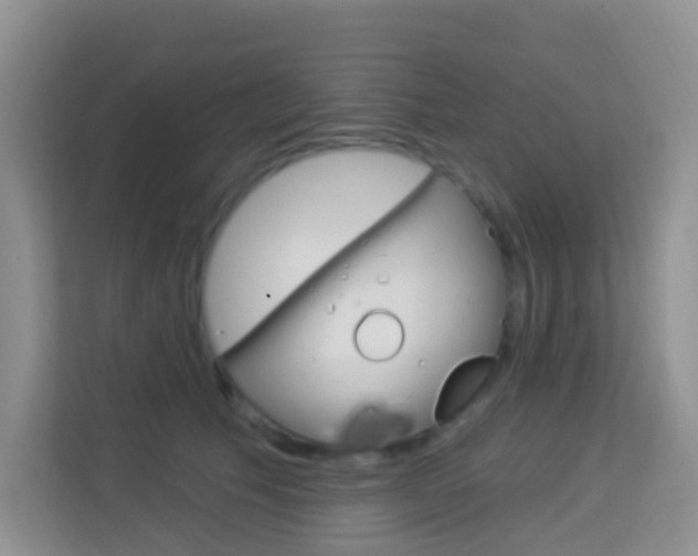 X0000114210609200910091030