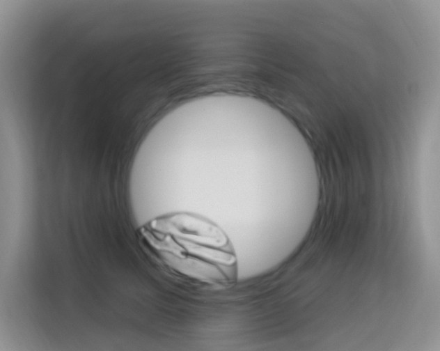 X0000114210611200910091030