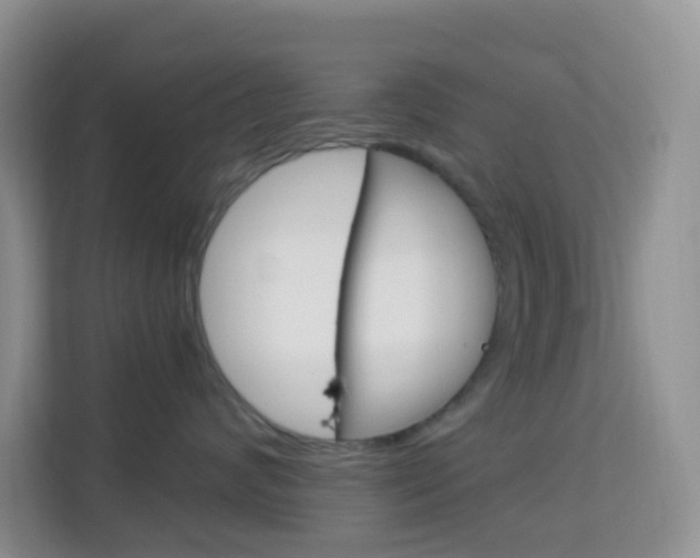 X0000114210624200910091030