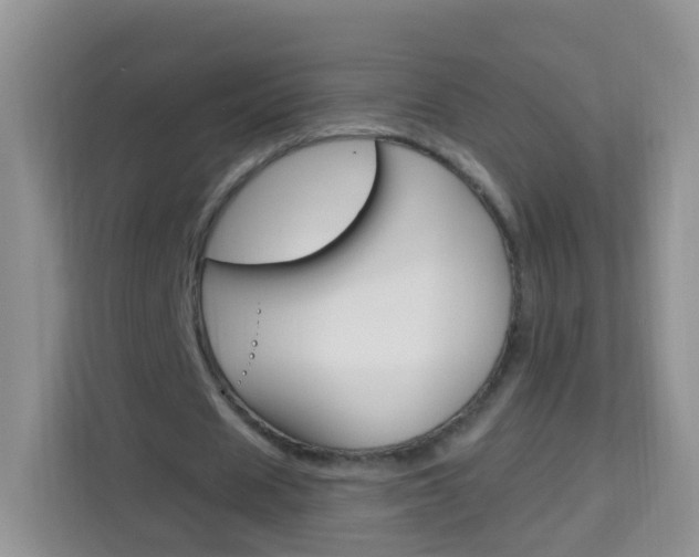 X0000114210625200910091029