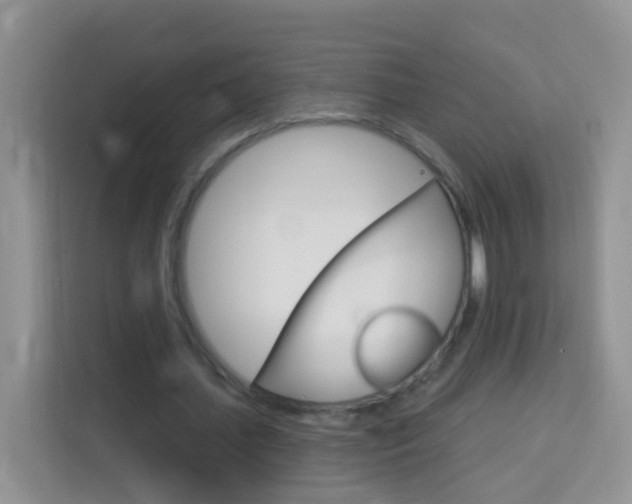 X0000114210627200910091029