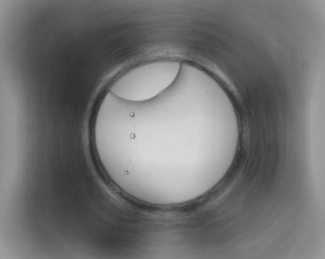 X0000114210629200910091029
