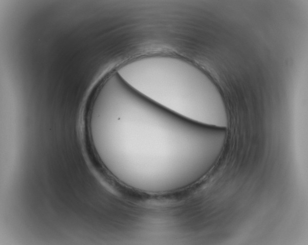X0000114210630200910091029