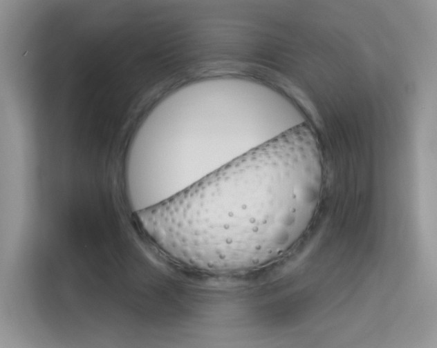 X0000114210633200910091029