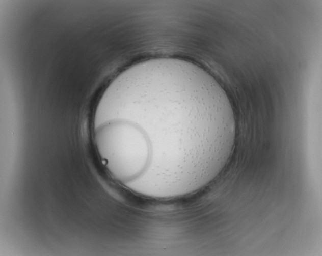 X0000114210638200910091029