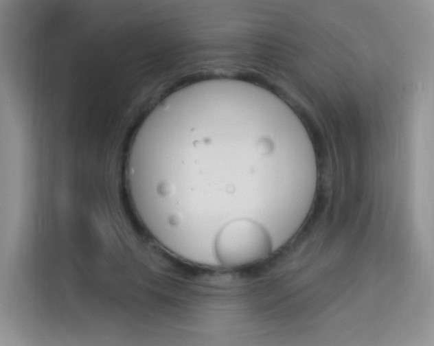 X0000114210639200910091029