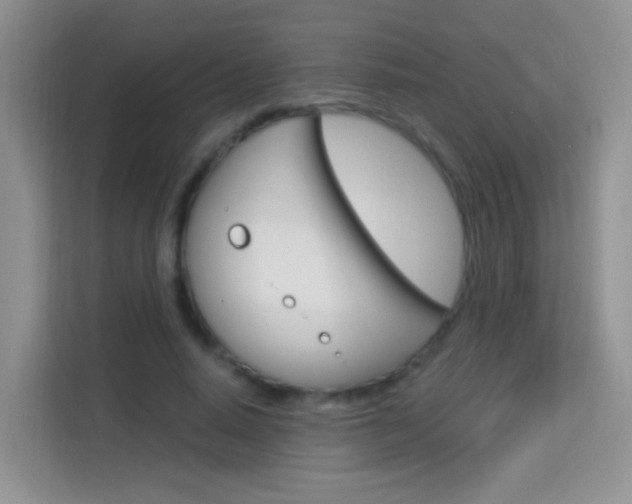 X0000114210640200910091029