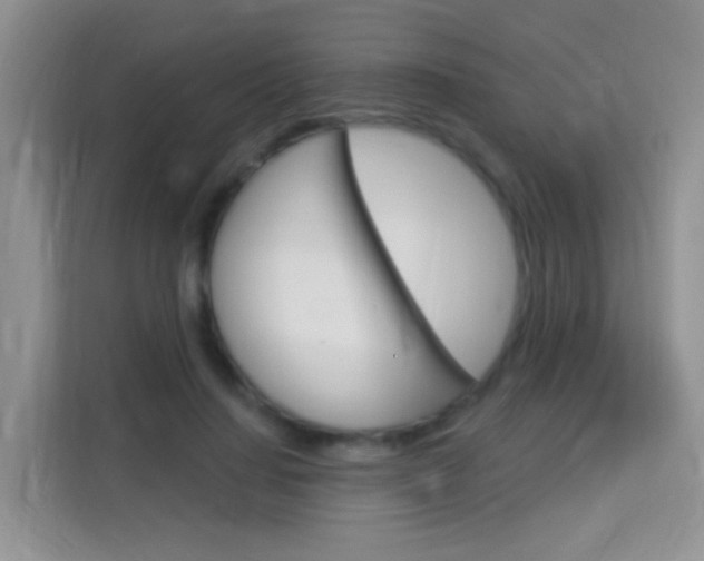 X0000114210644200910091029