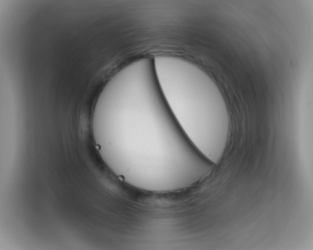 X0000114210648200910091029
