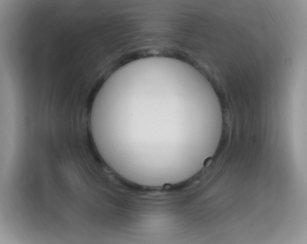 X0000114210657200910091030