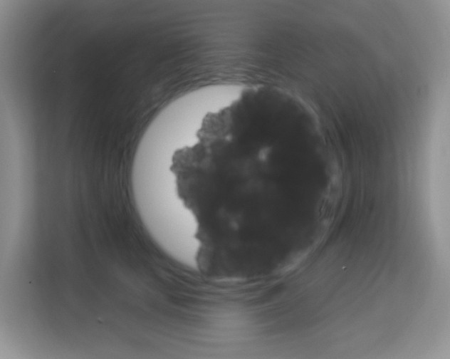 X0000114210659200910091030