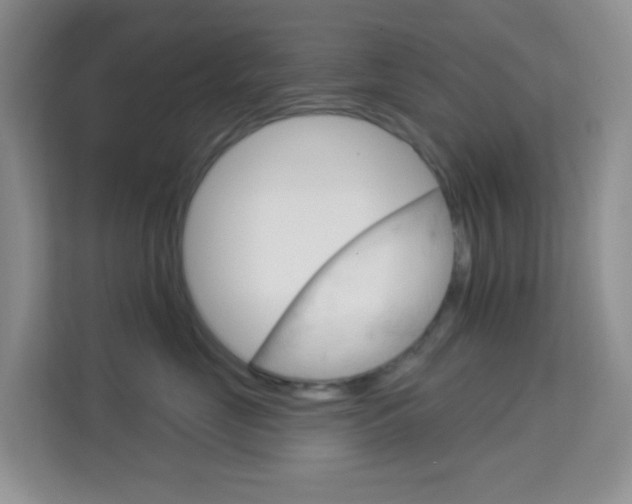 X0000114210669200910091030